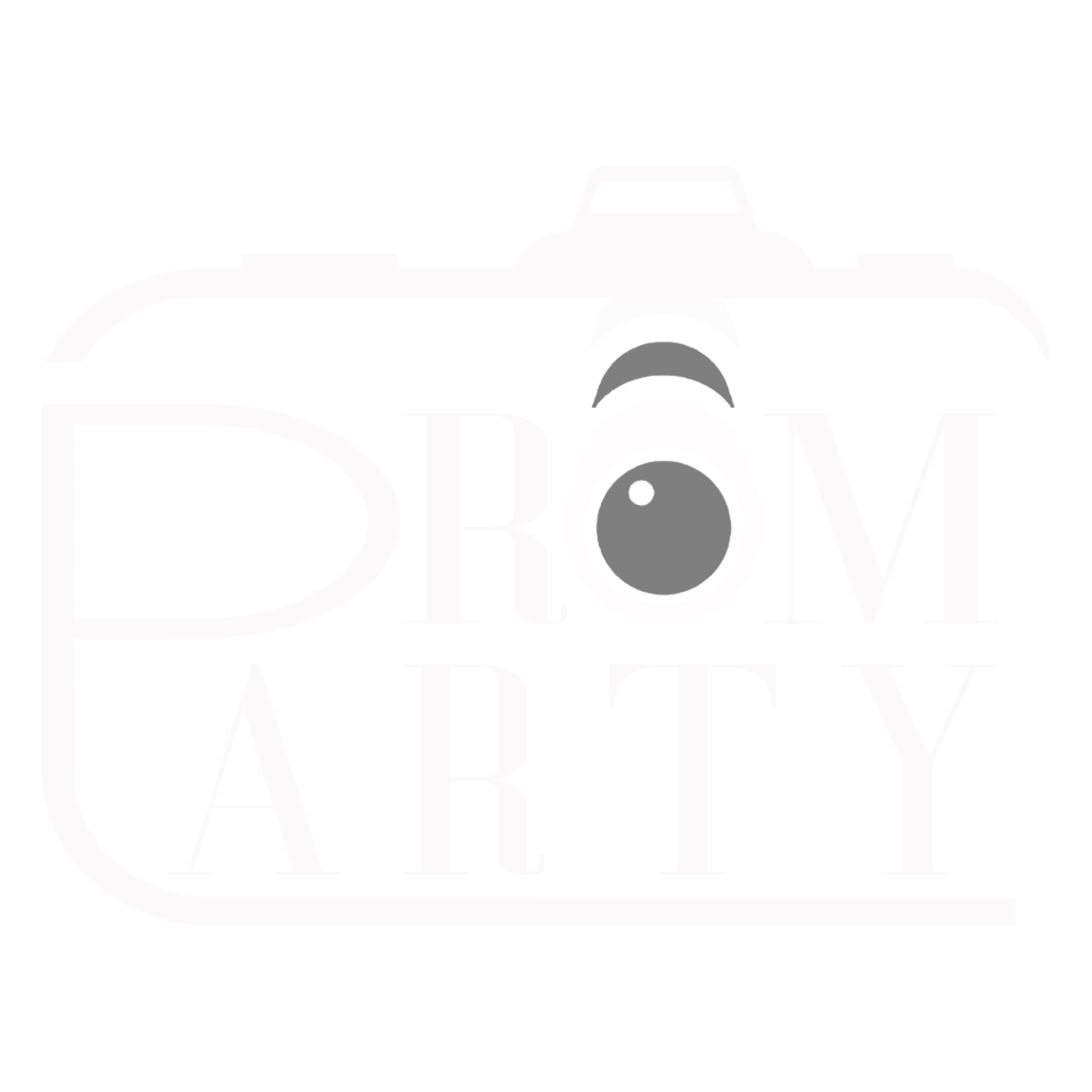 logotipo promparty